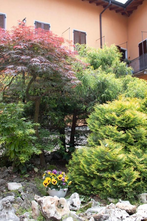 Apartmán Il Monastero Castelletto sopra Ticino Exteriér fotografie